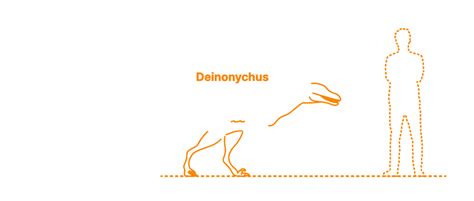 Deinonychus Size Comparison