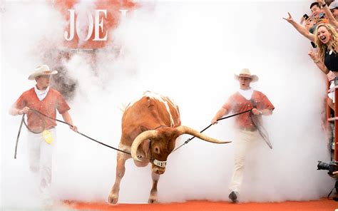 A Brief History of Bevo Behaving Badly – Texas Monthly