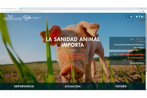 Nace "La sanidad animal importa", una nueva web en español sobre salud veterinaria