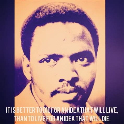 Steve Biko Cry Freedom Quotes. QuotesGram