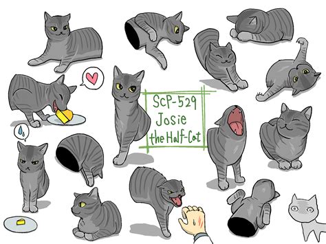 SCP-529 Josie the Half-Cat | Scp, Scp cb, Scp 049