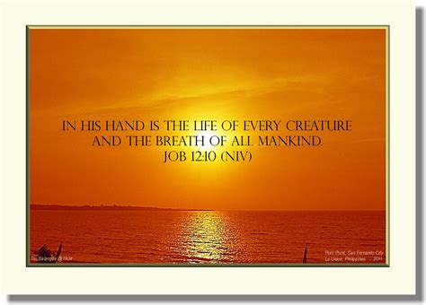 Job 12:10 | In his hand is the life of every creature and th… | Flickr