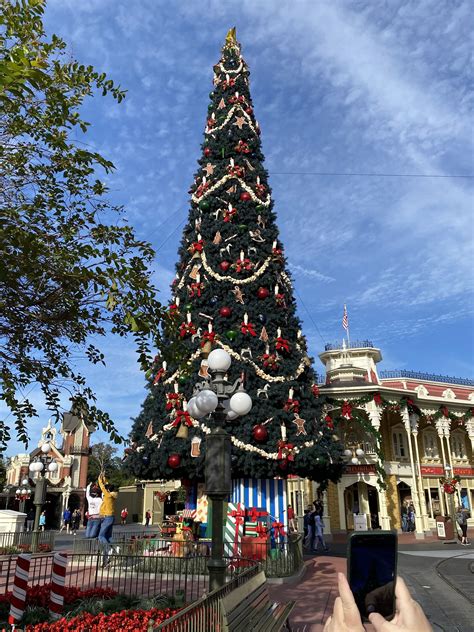 Christmas Trees at Walt Disney World - Must Love Travel