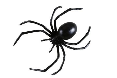 Free Animated Spider Pictures, Download Free Animated Spider Pictures ...