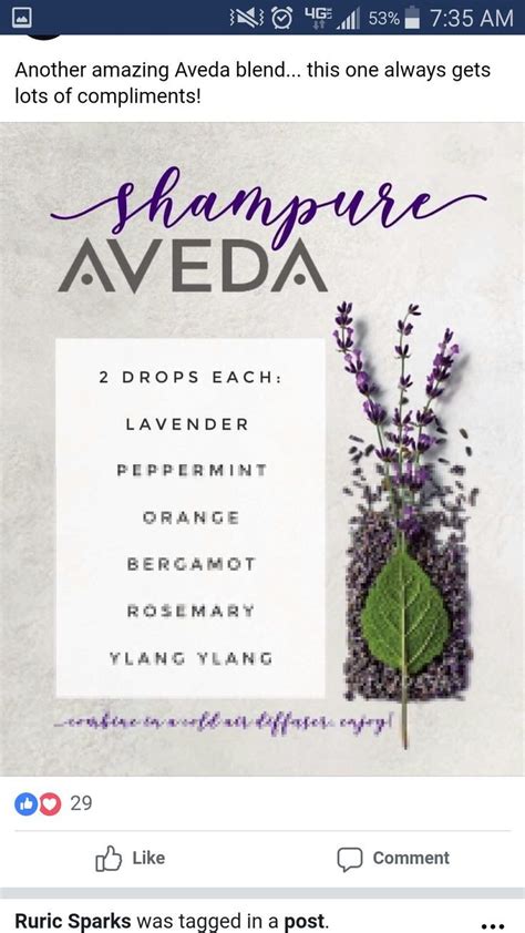 Aveda shampure diffuser blend | Essential oils aromatherapy, Essential oil blends recipes ...