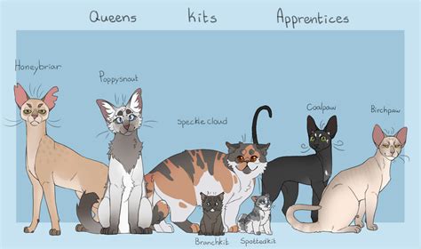 My windclan lineup from my comic au (P2) Queens, Kits and Apprentices : r/WarriorCats