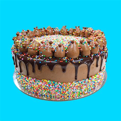 Chocolate Sprinkles Cake – Candied Bakery