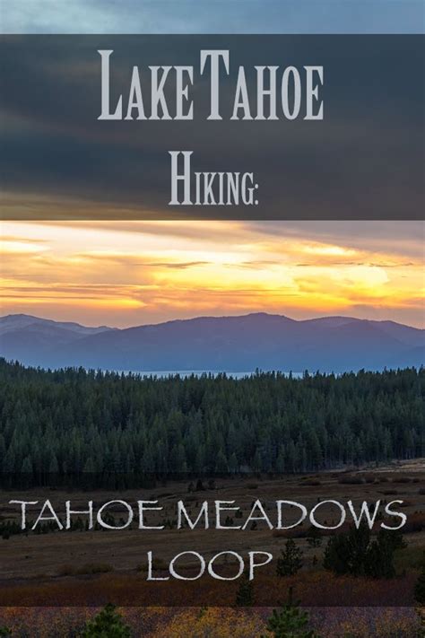 North Lake Tahoe Hiking Trails: Tahoe Meadows Interpretive Loop | Lake tahoe hiking, Tahoe ...