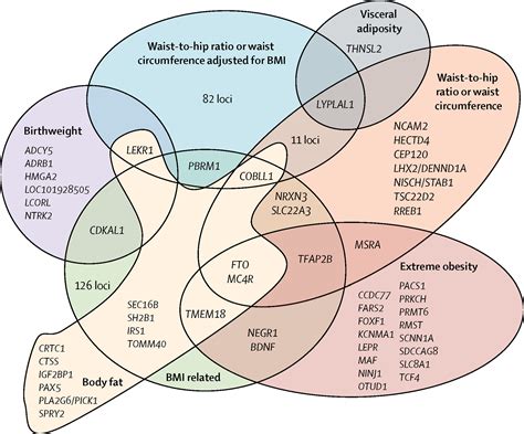 Genetics of obesity: what genetic association studies have taught us ...