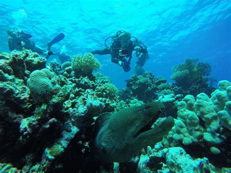 Discover Scuba Diving Trip in Sharm El Sheikh