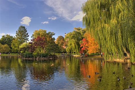 Boston Public Gardens Photograph by Joann Vitali - Fine Art America