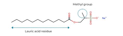 Sodium lauroyl methyl isethionate - Mini Monai | Formulate your own vegan cosmetics