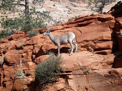 July 2018 in Death Valley was the Hottest Month Ever Recorded on Earth ...