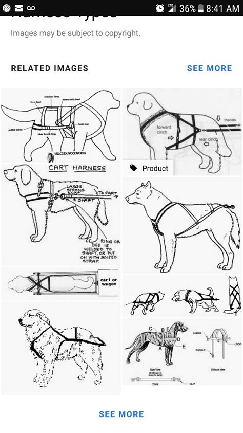 Sled Dog Harness, Dog Pulling Harness, Dog Harness Pattern Free, Dog Equipment, Pull Cart ...