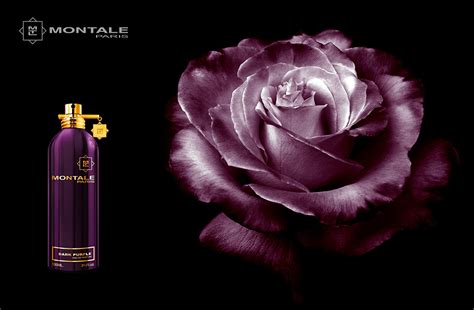 MONTALE : Dark Purple - ParfumCity.by