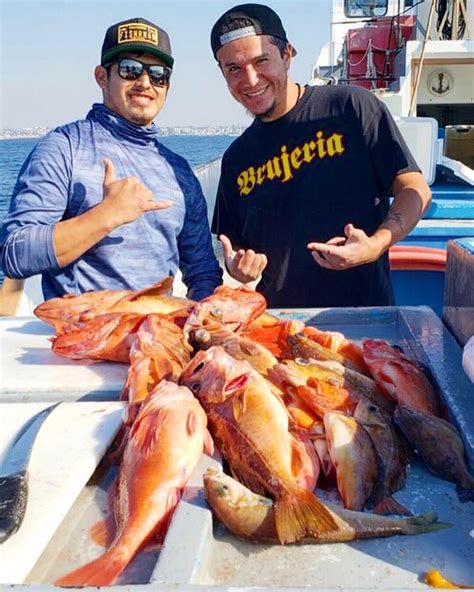 Redondo Beach Sportfishing Fish Counts