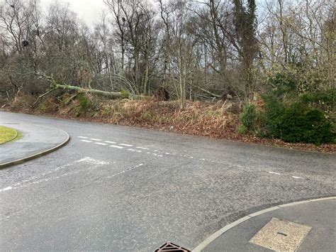 Storm Arwen damage © Ralph Greig cc-by-sa/2.0 :: Geograph Britain and Ireland