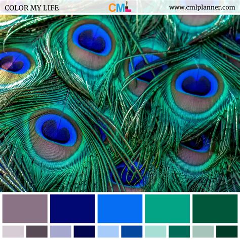 Today's dose of color inspiration is a feathery color palette featuring ...