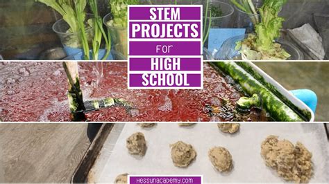 STEM Projects For High School - Hess UnAcademy