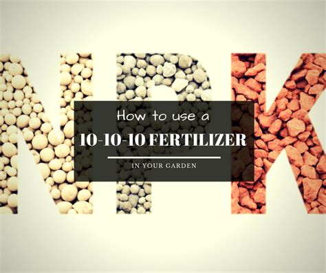 How to use a 10-10-10 Fertilizer in your garden