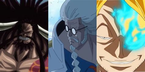 One Piece: A Complete Guide to Zoan Devil Fruit Users & Their Powers