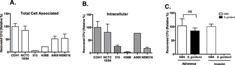 Clinically relevant isolates of GBS adhere and invade, but non-GBS,... | Download Scientific Diagram