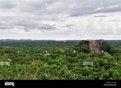 Structure at Mayan city of Calakmul, Calakmul Biosphere Reserve, Campeche, Mexico Stock Photo ...