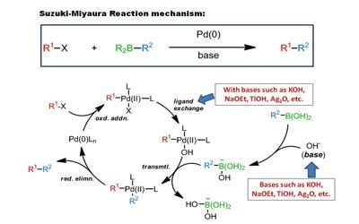 Suzuki reaction - an organic reaction - Assignment Point