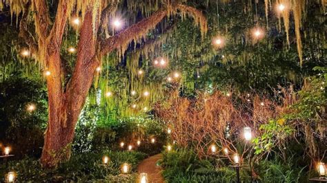 The scoop on Brookgreen Gardens' Nights of a Thousand Candles - CHStoday | Your Resource for All ...