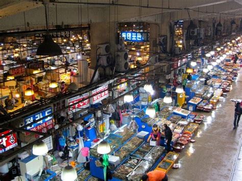 Fresh Fish for Breakfast: Noryangjin Fish Market in Seoul - Independent Travel Cats