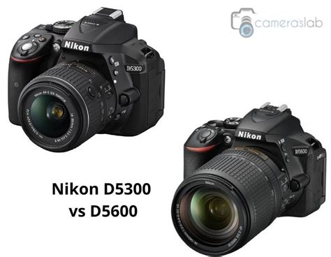 Nikon D5300 vs D5600 - Find Out Why We Suggest the Nikon D5600? | Cameraslab