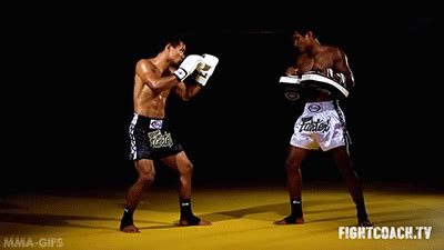 mma-gifs | Roundhouse kick, Muay thai kicks, Muay thai