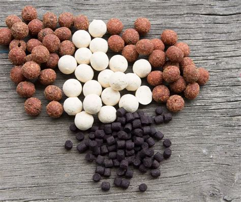 4 Best Axolotl Food Pellets