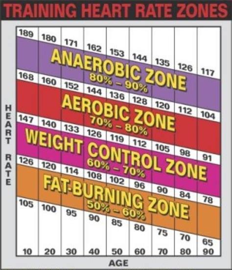 1 -An example of an exercise intensity wall chart. Downloaded from ...