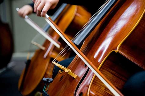 12 Popular Types of Cellos Explained - VerbNow