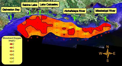 Scientists find changes to Gulf of Mexico dead zone