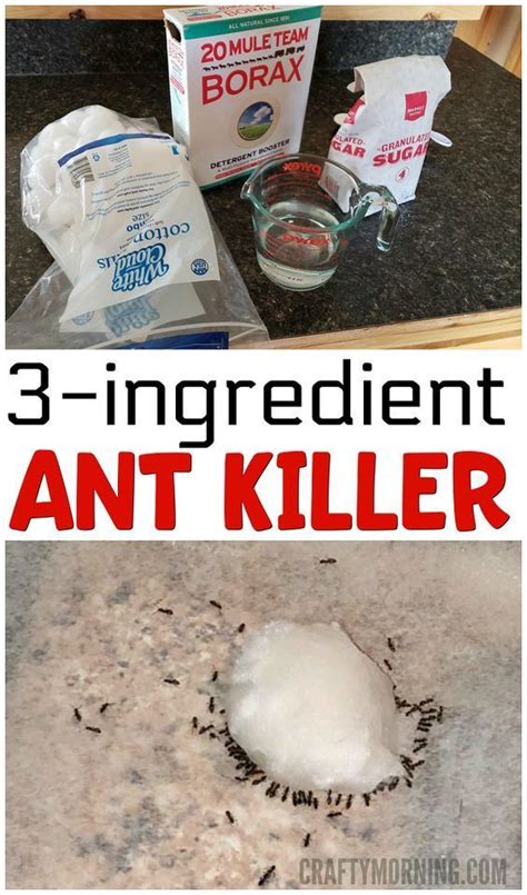 Homemade Ant Killer | Homemade ant killer, Ant killer, Ant killer recipe