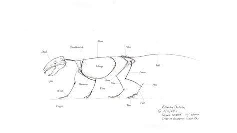 Rosemary Chalmers — concept art and illustration: Creature Anatomy with ...