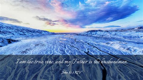 John 15:1 KJV Desktop Wallpaper - I am the true vine, and my Father is the