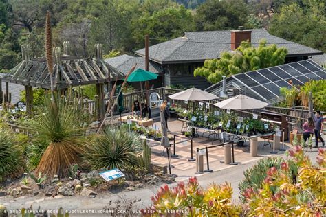 UC Botanical Garden at Berkeley: South African Collection (August 2020)