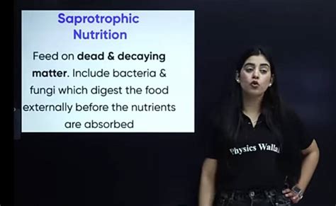 Saprotrophic Nutrition Feed on dead \& decaying matter. Include bacteria