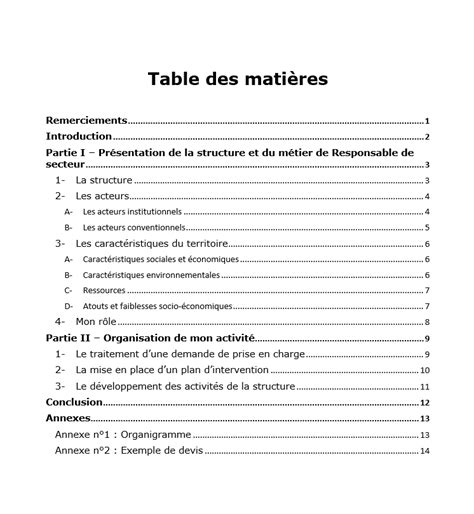 Exemple de rapport de stage Responsable de secteur d'aide à domicile