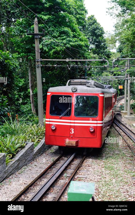 Rio de Janeiro, Brazil: Famous train "Trem do Corcovado" travelling up ...