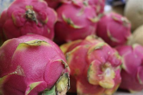 La pitahaya | Pitahaya, Gastronomia, Frutas exóticas