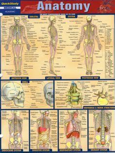 A&P 2 Love these cheat sheets!! | Nursing | Pinterest | Anatomy