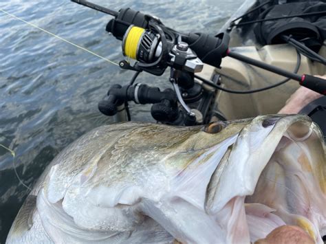 Impoundment Barramundi Fishing Tips – Tackle Tactics