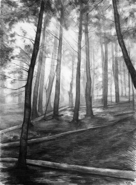 dark forest ORIGINAL drawing by Katarzyna Kmiecik / pencil sketch ...