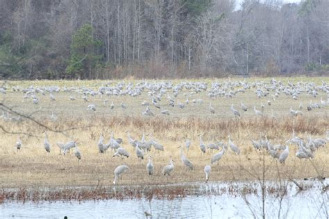 Wheeler National Wildlife Refuge