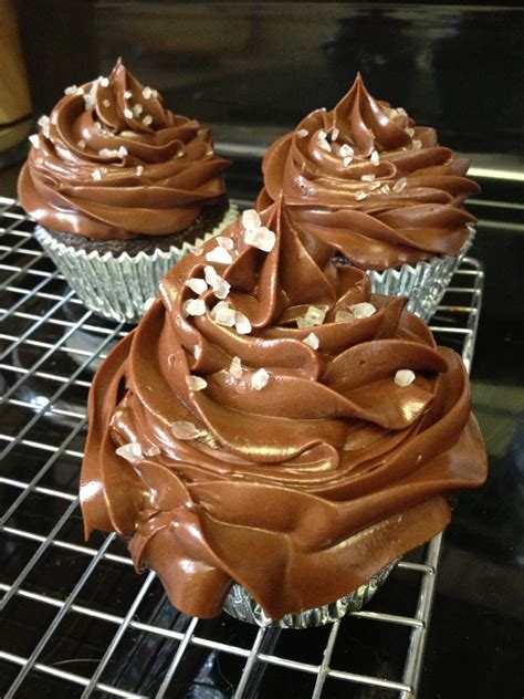 Cupcakes, Cats, and Crafts: Martha Stewart's Chocolate Salted Caramel ...