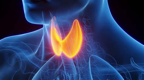 Calcitonin Thyroid